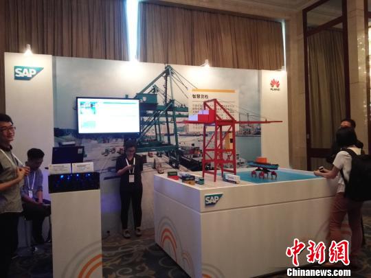 SAPȫ��߼������á������A�^���üo�����c�A����IBG�Ї��^���ò�Ӣ�A ÷�A �z