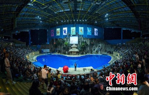 6��18��,��㼯�F�ڱ��������^�e�k���Ħ���aƷ�l����