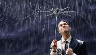 葉檀 :加拿大房價雪崩了 下一個輪到中國?