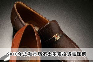 2010��ƤЬ�Ј�(ch��ng)��̫���^Ͷ�Y��֔(j��n)��