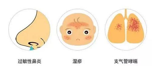 美神床墊:頭發越掉越多?別慌!可能是螨蟲在作怪!(圖3)